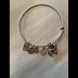 Alex and Ani silver bangle bracelet